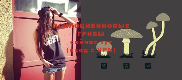 стафф Абаза