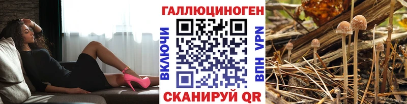 где купить   Сызрань  Псилоцибиновые грибы Magic Shrooms 