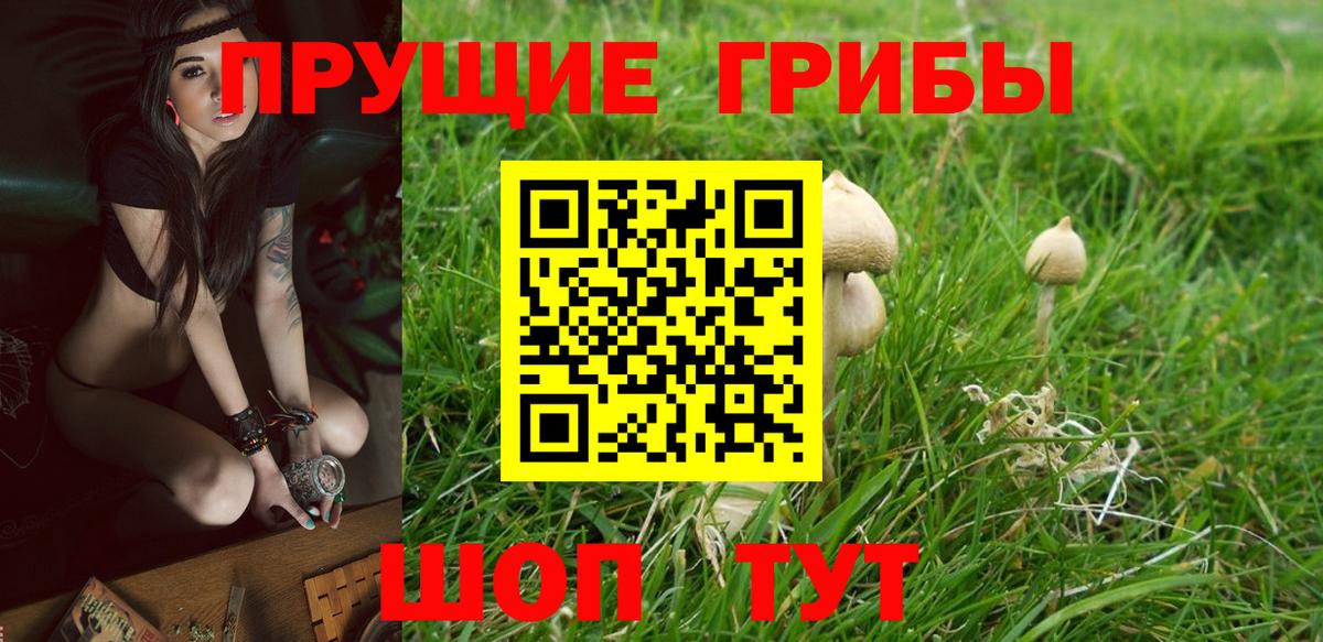 Галлюциногенные грибы ЛСД  Вход с VPN  продажа наркотиков  Сызрань  Галлюциногенные грибы Cubensis 