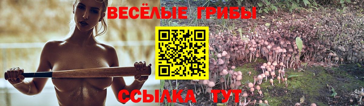 Галлюциногенные грибы мухоморы Сызрань